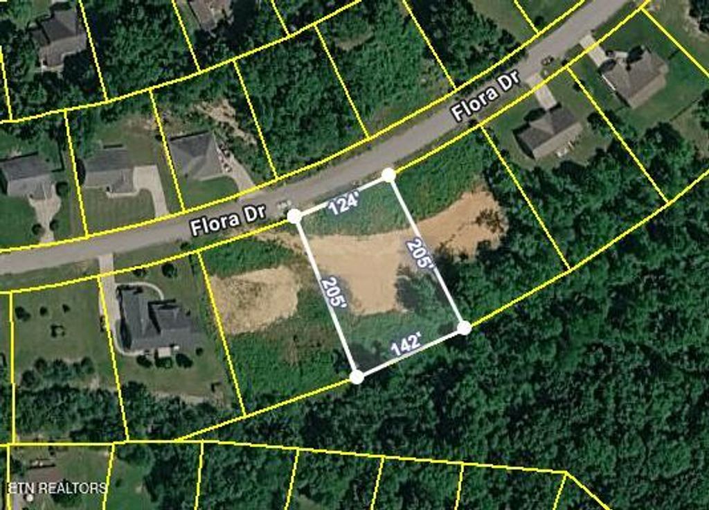 Photo of 380 Flora Drive, Lenoir City, TN 37771 (MLS # 1341635)