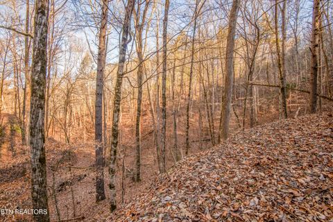 Tiny photo for 2474 Dove View Rd #6, Sevierville, TN 37862 (MLS # 1329682)