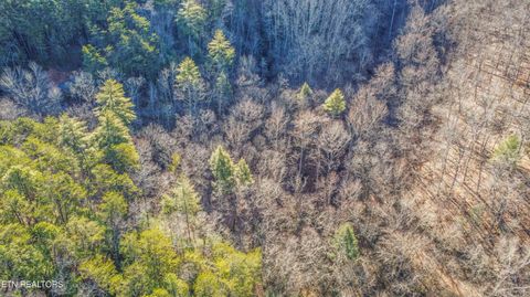 Tiny photo for 2474 Dove View Rd #6, Sevierville, TN 37862 (MLS # 1329682)