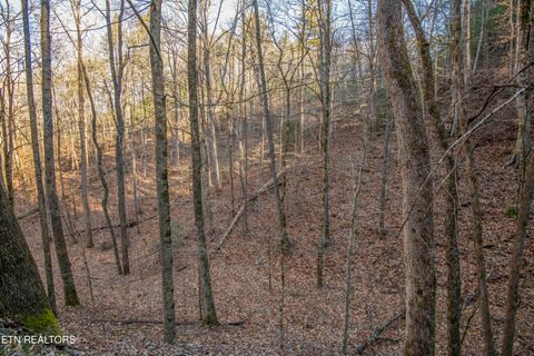 Tiny photo for 2474 Dove View Rd #6, Sevierville, TN 37862 (MLS # 1329682)