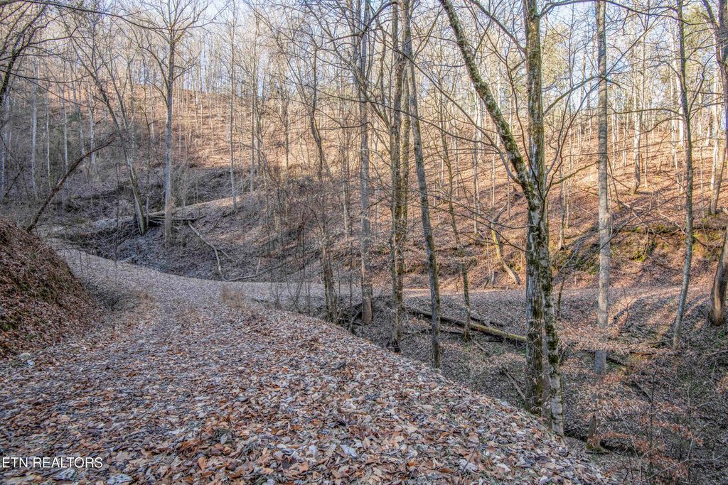 Photo of 2474 Dove View Rd #6, Sevierville, TN 37862 (MLS # 1329682)