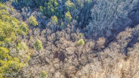 Tiny photo for 2474 Dove View Rd #6, Sevierville, TN 37862 (MLS # 1329682)