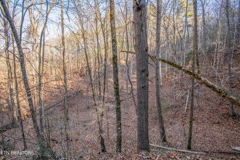 Tiny photo for 2474 Dove View Rd #6, Sevierville, TN 37862 (MLS # 1329682)