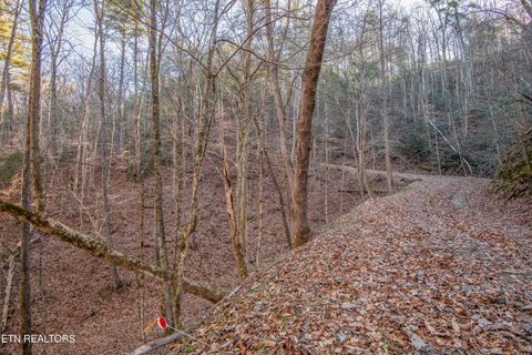 Tiny photo for 2474 Dove View Rd #6, Sevierville, TN 37862 (MLS # 1329682)