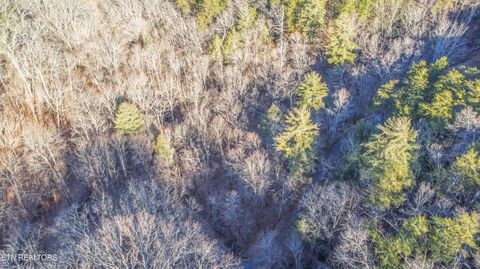 Tiny photo for 2474 Dove View Rd #6, Sevierville, TN 37862 (MLS # 1329682)