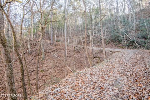 Tiny photo for 2474 Dove View Rd #6, Sevierville, TN 37862 (MLS # 1329682)