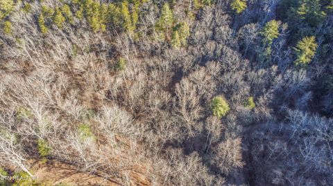 Tiny photo for 2474 Dove View Rd #6, Sevierville, TN 37862 (MLS # 1329682)