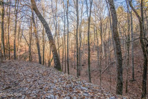 Tiny photo for 2474 Dove View Rd #6, Sevierville, TN 37862 (MLS # 1329682)