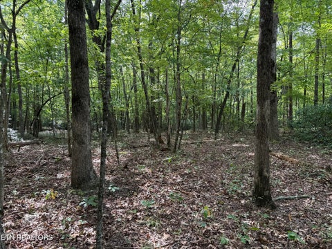 Tiny photo for 6 Tanner Drive, Monterey, TN 38574 (MLS # 1354729)