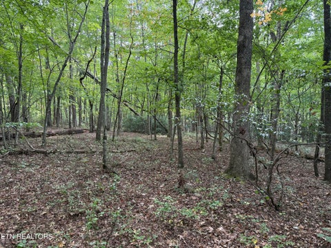 Tiny photo for 6 Tanner Drive, Monterey, TN 38574 (MLS # 1354729)