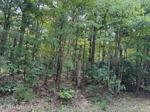Tiny photo for 6 Tanner Drive, Monterey, TN 38574 (MLS # 1354729)
