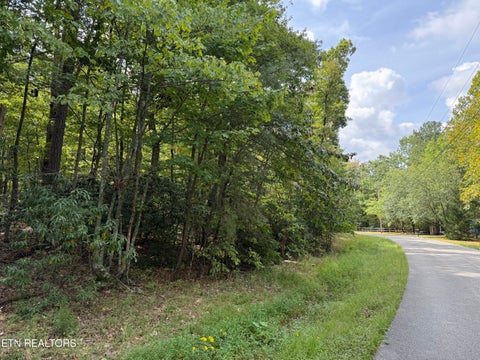 Tiny photo for 6 Tanner Drive, Monterey, TN 38574 (MLS # 1354729)