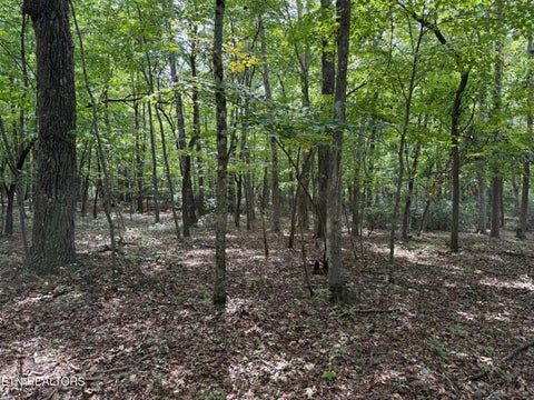 Tiny photo for 6 Tanner Drive, Monterey, TN 38574 (MLS # 1354729)