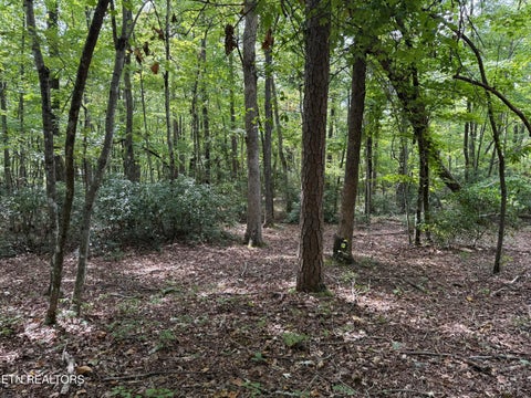 Photo of 6 Tanner Drive, Monterey, TN 38574 (MLS # 1354729)