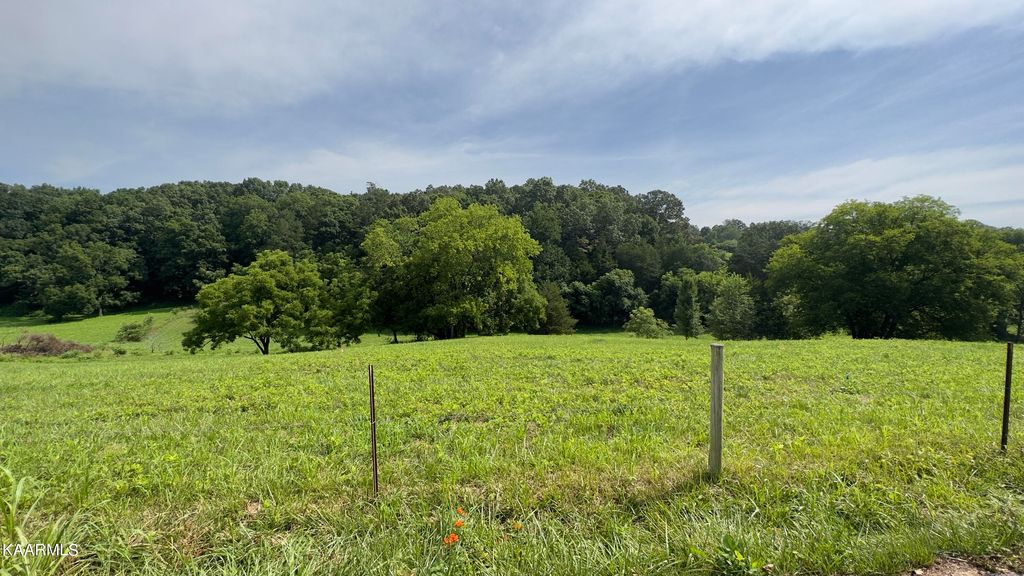 Photo of 4 Shady Rd, Strawberry Plains, TN 37871 (MLS # 1233008)