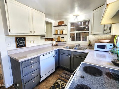 Tiny photo for 8847 Pleasant Hill Rd, Knoxville, TN 37924 (MLS # 1334170)