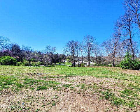 Tiny photo for 8847 Pleasant Hill Rd, Knoxville, TN 37924 (MLS # 1334170)