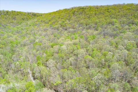 Tiny photo for Pawnee Lane, Jamestown, TN 38556 (MLS # 1304574)