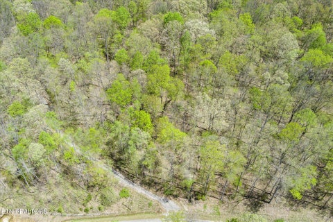 Tiny photo for Pawnee Lane, Jamestown, TN 38556 (MLS # 1304574)