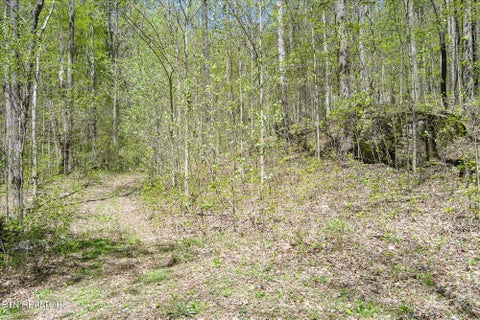 Tiny photo for Pawnee Lane, Jamestown, TN 38556 (MLS # 1304574)