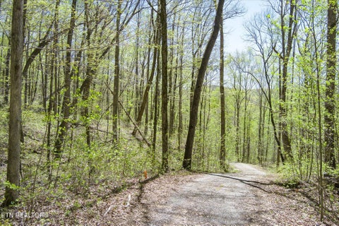 Tiny photo for Pawnee Lane, Jamestown, TN 38556 (MLS # 1304574)