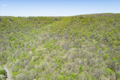 Tiny photo for Pawnee Lane, Jamestown, TN 38556 (MLS # 1304574)