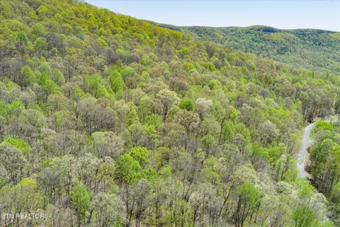 Tiny photo for Pawnee Lane, Jamestown, TN 38556 (MLS # 1304574)