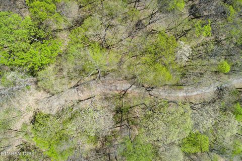 Pawnee Lane Jamestown TN 38556