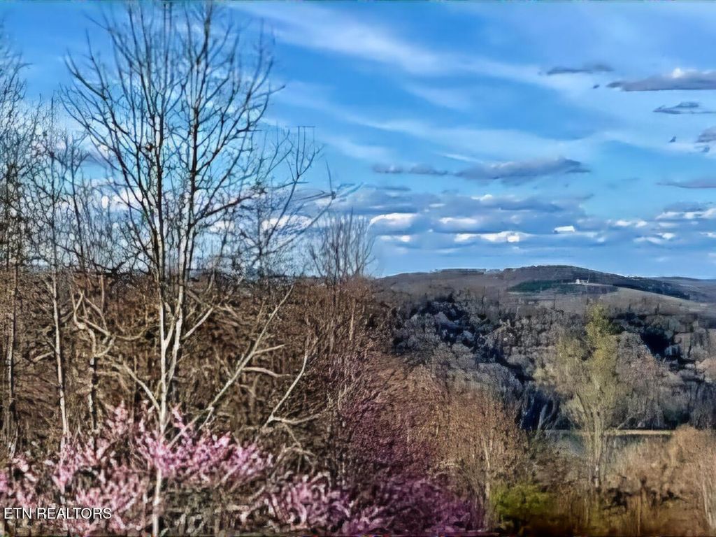 Photo of 27 Panoramic, Maynardville, TN 37807 (MLS # 1294497)