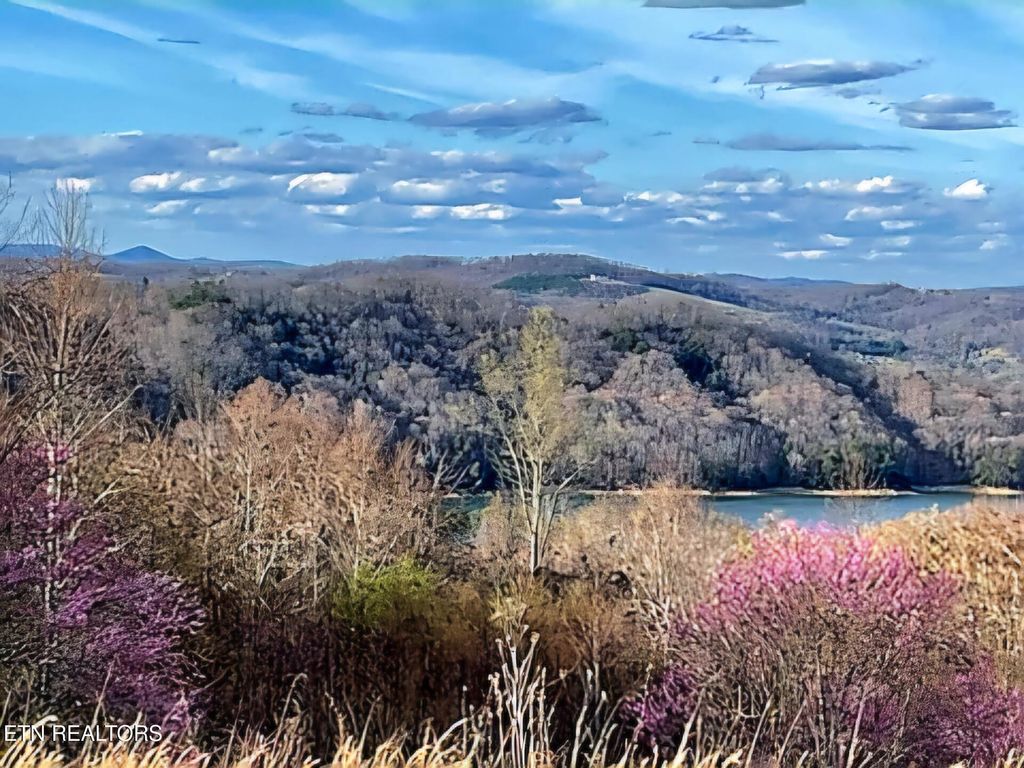 Photo of 27 Panoramic, Maynardville, TN 37807 (MLS # 1294497)