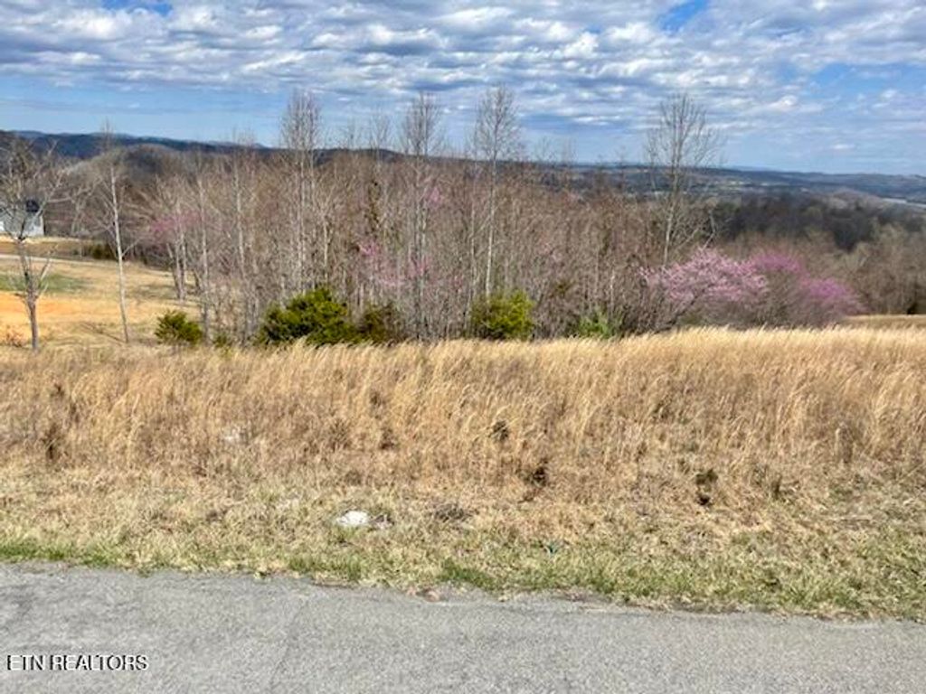 Photo of 27 Panoramic, Maynardville, TN 37807 (MLS # 1294497)
