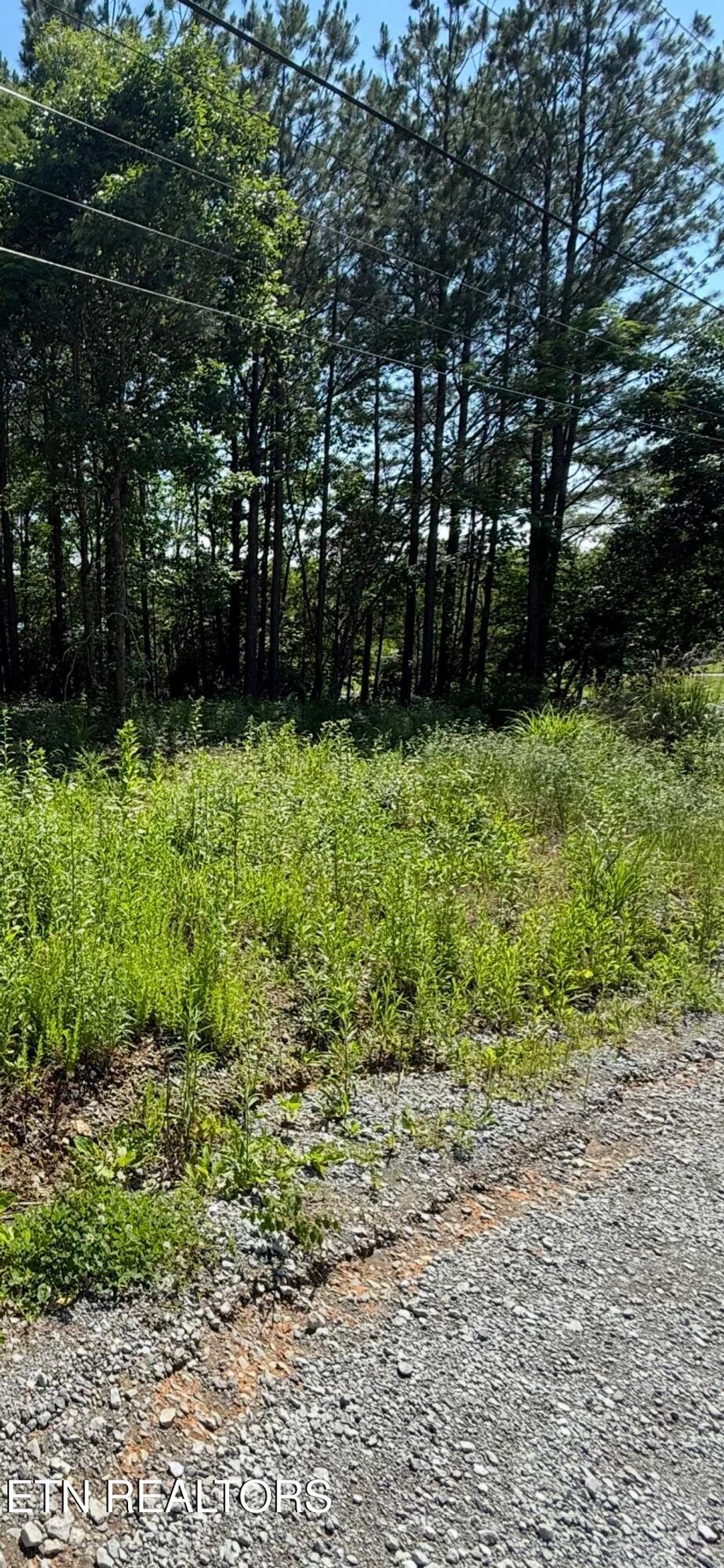 Photo of Robbies Lane, Decatur, TN 37322 (MLS # 1302188)
