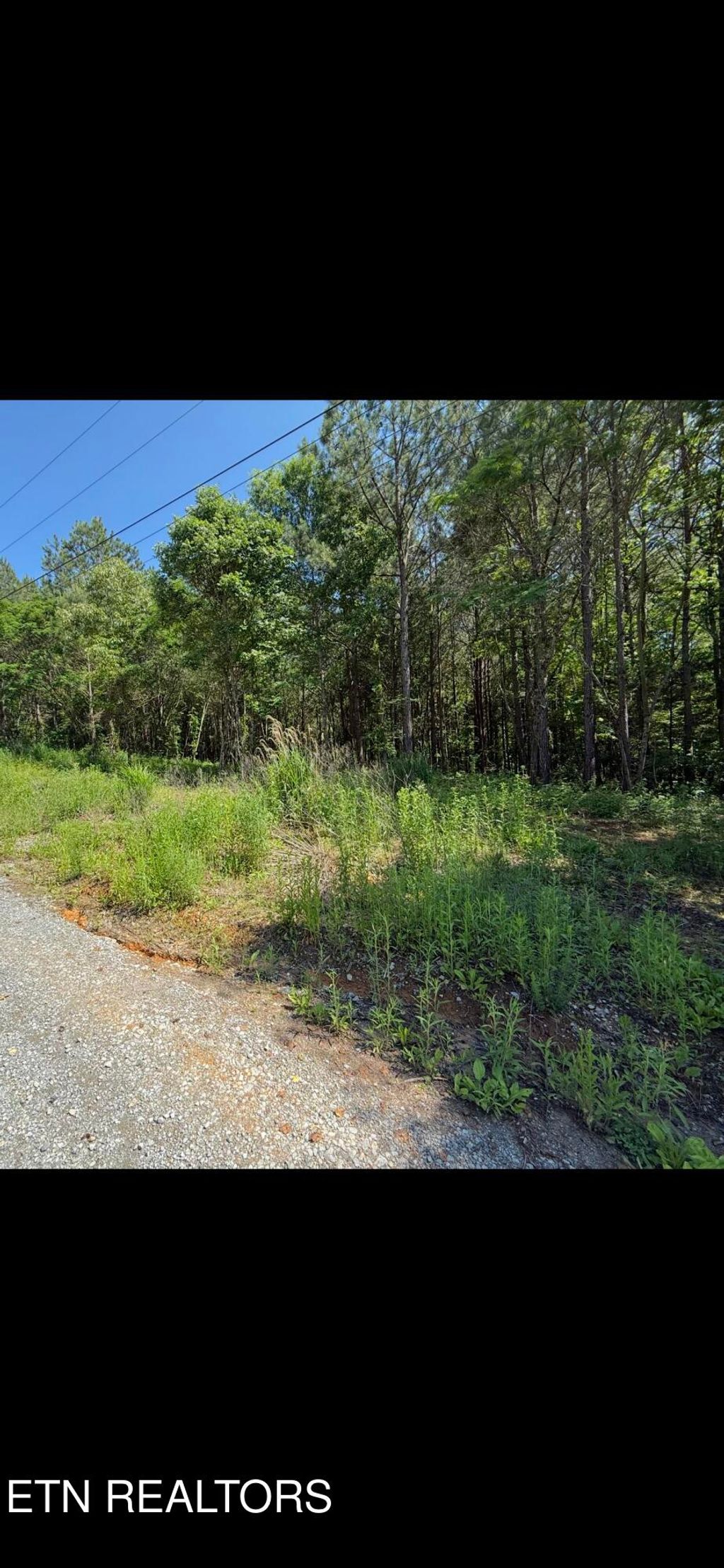 Photo of Robbies Lane, Decatur, TN 37322 (MLS # 1302188)