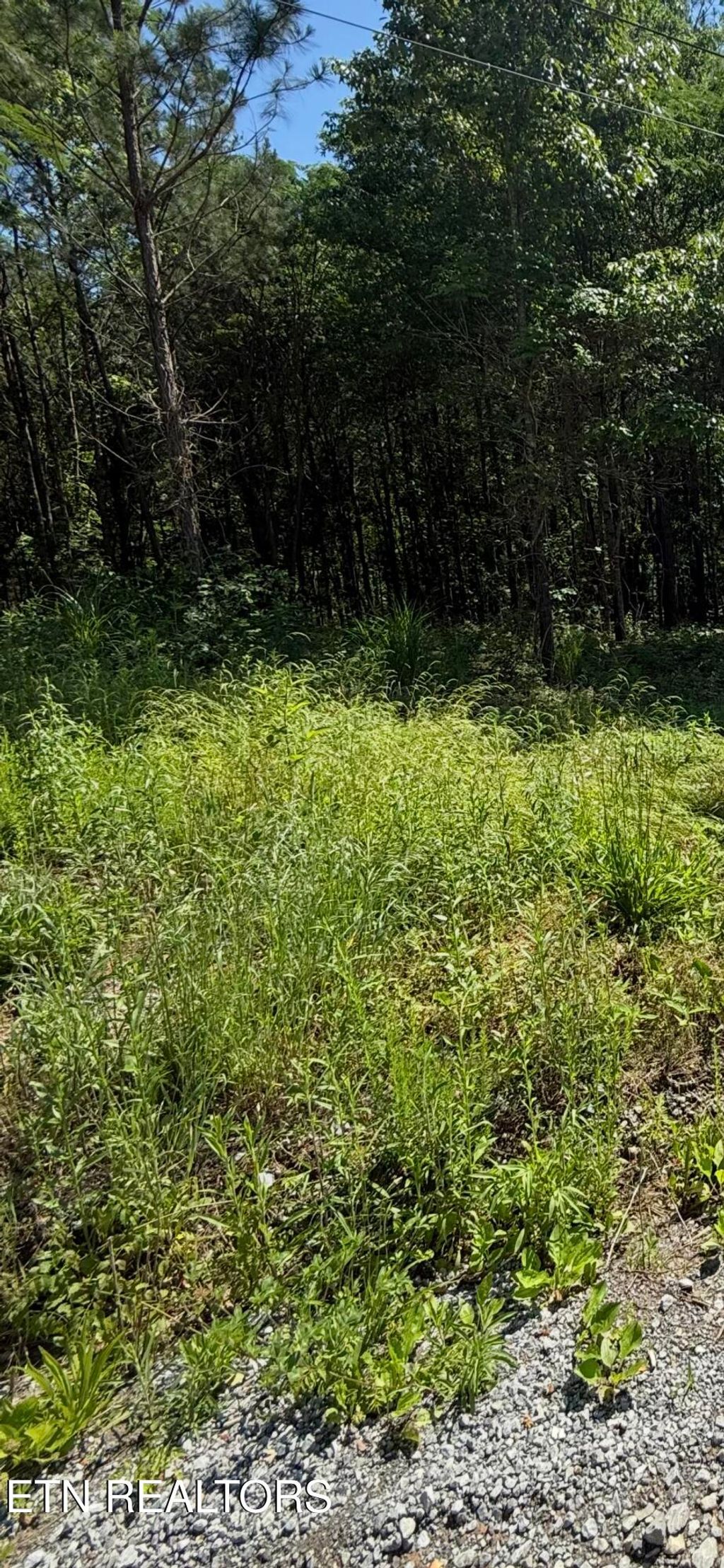 Photo of Robbies Lane, Decatur, TN 37322 (MLS # 1302188)