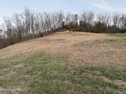 Tiny photo for 6322 Coves Edge Trail Tr, Russellville, TN 37860 (MLS # 1325480)