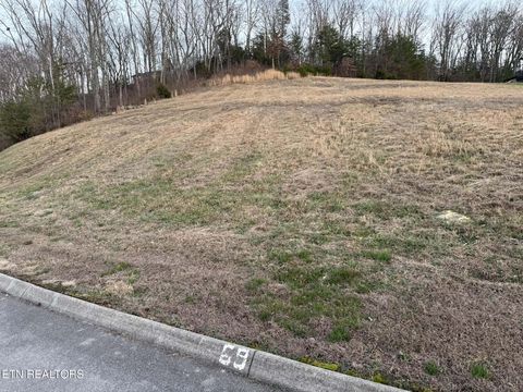 Tiny photo for 6322 Coves Edge Trail Tr, Russellville, TN 37860 (MLS # 1325480)