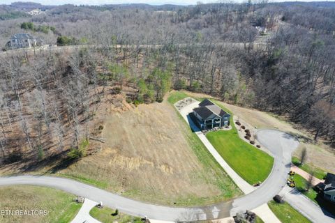 Tiny photo for 6322 Coves Edge Trail Tr, Russellville, TN 37860 (MLS # 1325480)