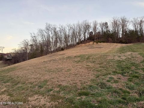 Tiny photo for 6322 Coves Edge Trail Tr, Russellville, TN 37860 (MLS # 1325480)