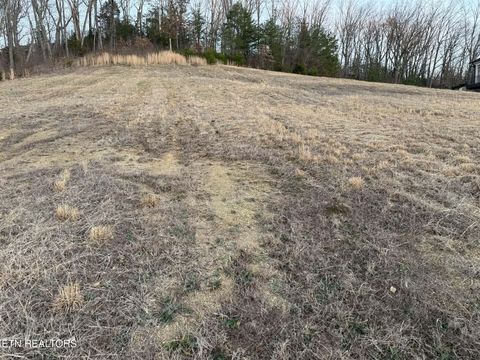 Tiny photo for 6322 Coves Edge Trail Tr, Russellville, TN 37860 (MLS # 1325480)