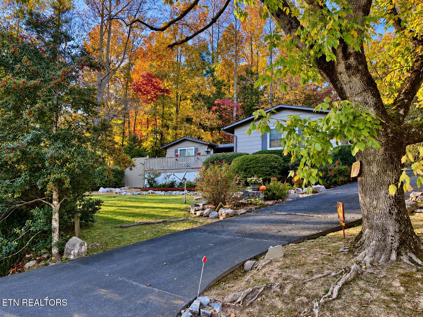 733 Cavern Rd