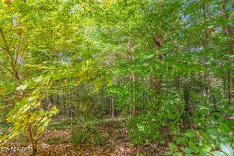 Tiny photo for 3523 Timberlake Drive, Knoxville, TN 37920 (MLS # 1319241)