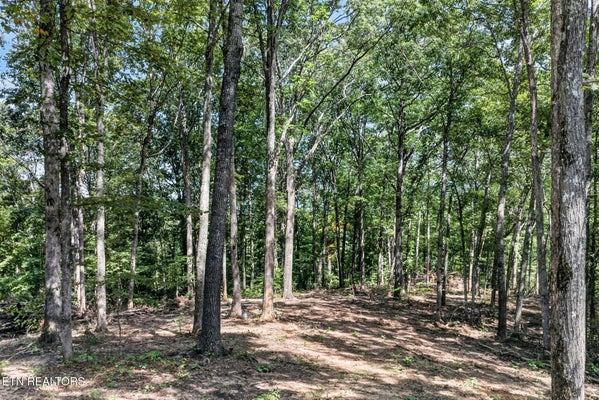 LOT 40 PIONEER TRAIL LANE, CRAWFORD, TN 38554 - Image 98da3cc76596bf46d86e8f5b15fa6c57/1040337724