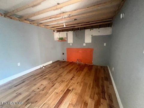Tiny photo for 144 Walnut Drive, New Tazewell, TN 37825 (MLS # 1339691)