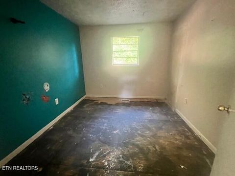 Tiny photo for 144 Walnut Drive, New Tazewell, TN 37825 (MLS # 1339691)