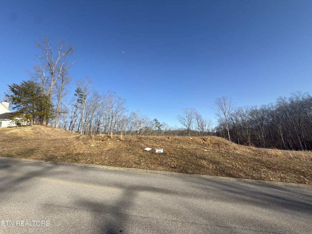 Photo of 1016 Northbridge Cl, Kingston, TN 37763 (MLS # 1322493)