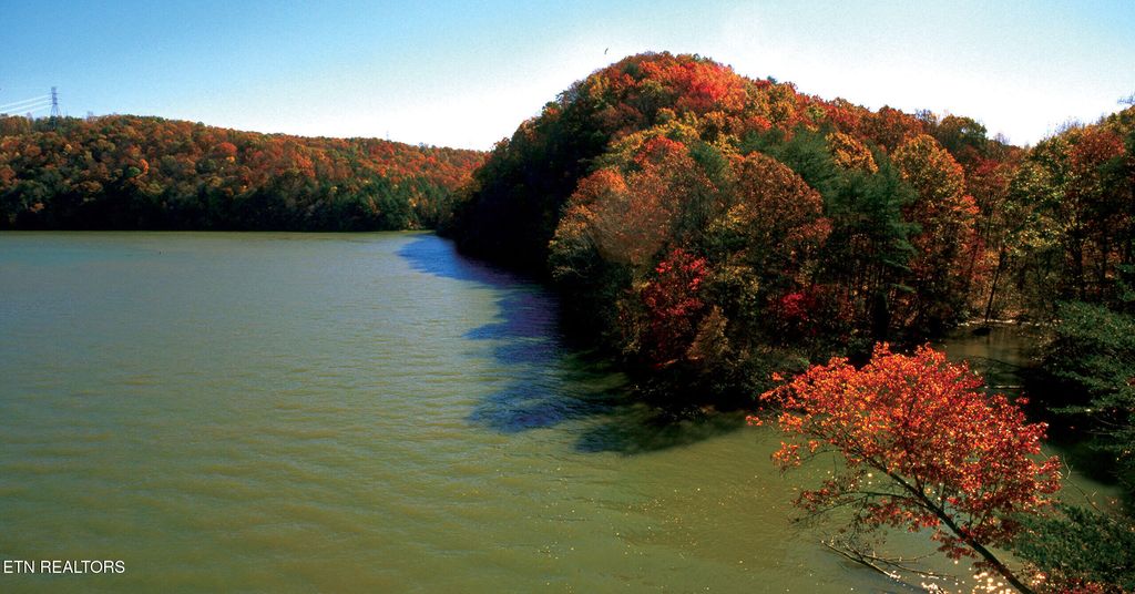 Photo of 1016 Northbridge Cl, Kingston, TN 37763 (MLS # 1322493)