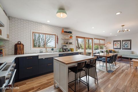 Tiny photo for 1318 N Briscoe Circle, Knoxville, TN 37912 (MLS # 1335929)