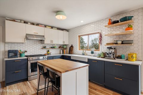 Tiny photo for 1318 N Briscoe Circle, Knoxville, TN 37912 (MLS # 1335929)