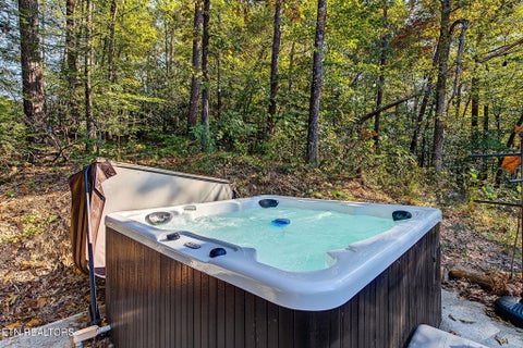 Tiny photo for 1610 Walker Tr, Sevierville, TN 37876 (MLS # 1360477)