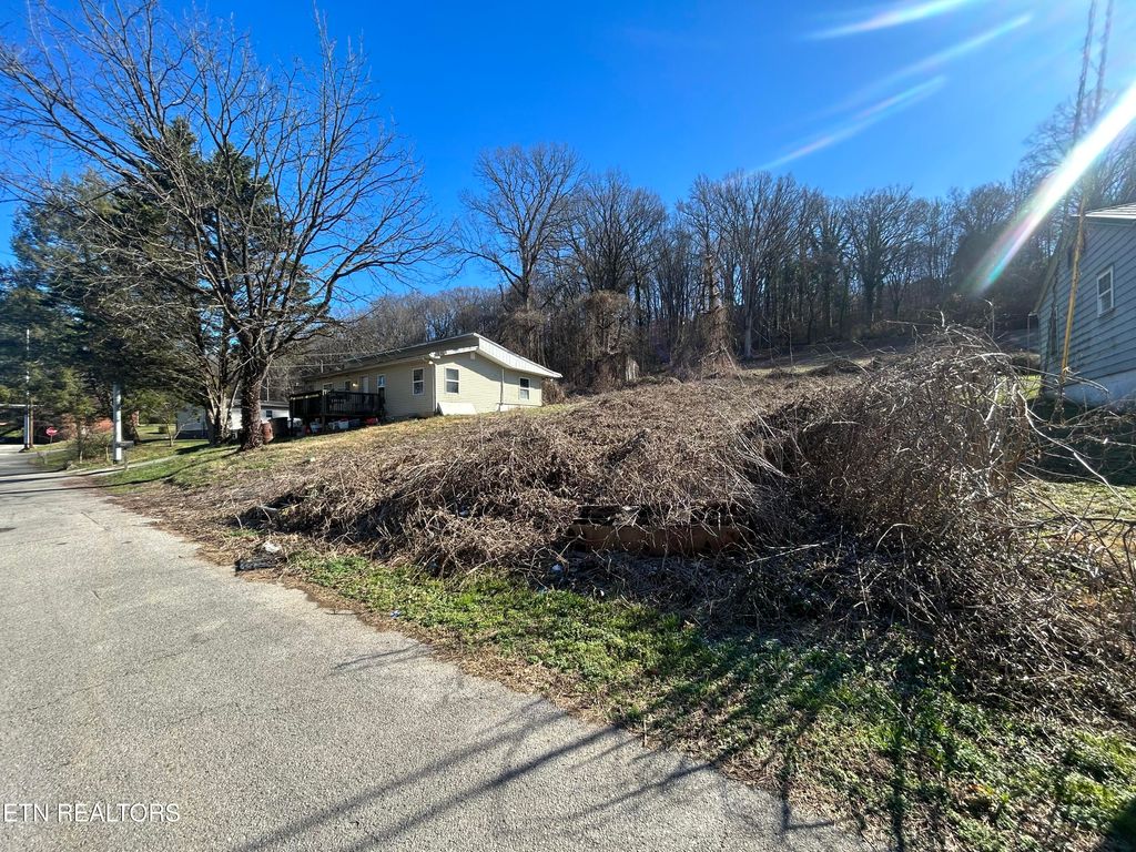 Photo of 4258 Ivy Ave, Knoxville, TN 37914 (MLS # 1326174)